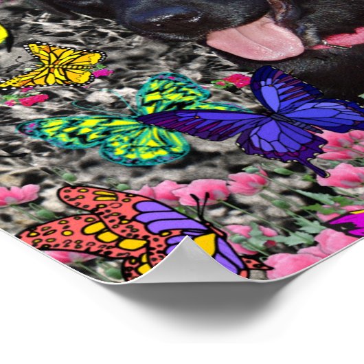 Abby in Chairs - Black Lab Dog ポスター (角)