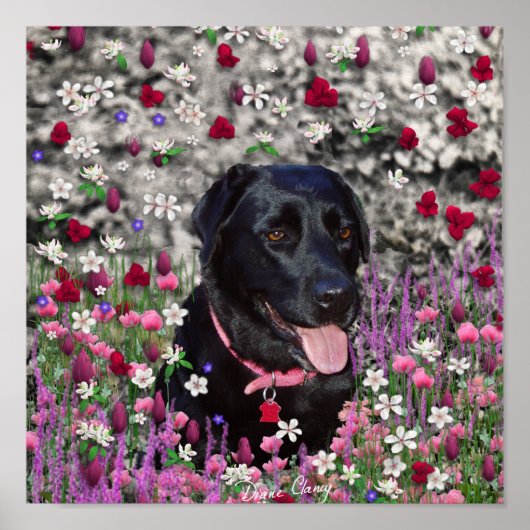 Abby in Flowers - Black Lab Dog ポスター (正面)