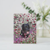 Abby in Flowers - Black Lab Dog ポストカード (スタンド正面)