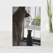 Abby with Zorro Anniversary Card カード (正面)