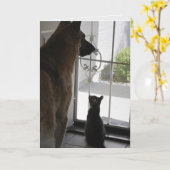 Abby with Zorro Anniversary Card カード (黄色い花)