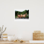 ABC-5374, Boys of Summer, Vandergriftリー ポスター (キッチン)