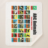 ABC Animals, Charles Buckles (1923) シェルパブランケット (正面)