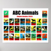 ABC Animals, Charles Buckles (1923) ポスター (正面)