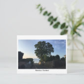 Aberdour,スコットランド – ビーチへの道 ポストカード (スタンド正面)