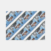 ABHのケープコッド フリースブランケット (正面(横))