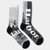 ABHパールハーバーソックス ソックス (右)