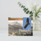 ABHピナクルNP ポストカード (スタンド正面)