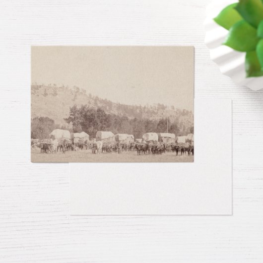 ABHブラックヒルズ (デスク)