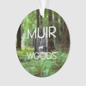 ABH Muirの森 オーナメント (正面)