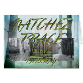 ABH Natchezの跡 (正面横)