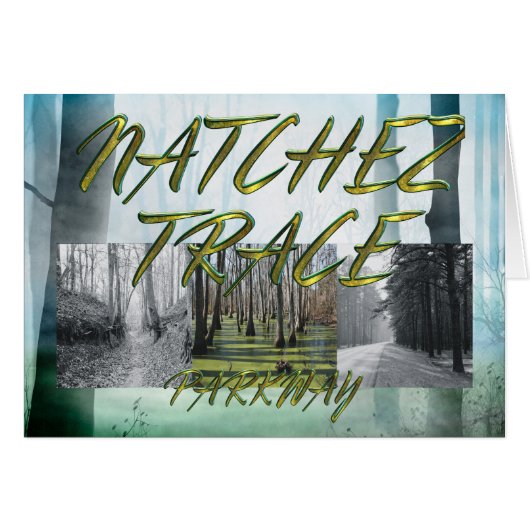 ABH Natchezの跡 (正面横)