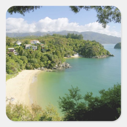 Able Tasman NP, Nelson，ニュージーランド。多数 スクエアシール (正面)