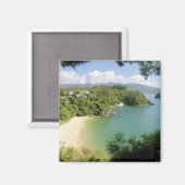 Able Tasman NP, Nelson，ニュージーランド。多数 マグネット (正面/裏面)