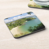 Able TasmanNP、ネルソン、ニュージーランド。多くの コースター (左側)