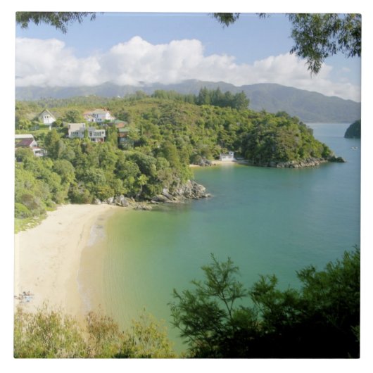 Able TasmanNP、ネルソン、ニュージーランド。多くの タイル (正面)