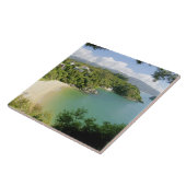 Able TasmanNP、ネルソン、ニュージーランド。多くの タイル (側面)