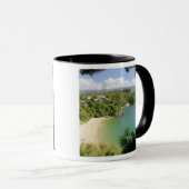 Able TasmanNP、ネルソン、ニュージーランド。多くの マグカップ (正面右)