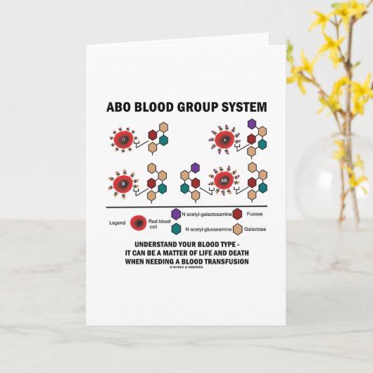 ABO式血液型分類法血液型の理解 カード (黄色い花)