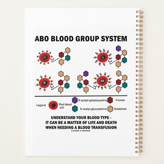 ABO血液型系が血液型を理解する プランナー手帳 (裏面)