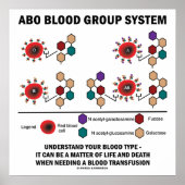 ABO血液型系が血液型を理解する ポスター (正面)