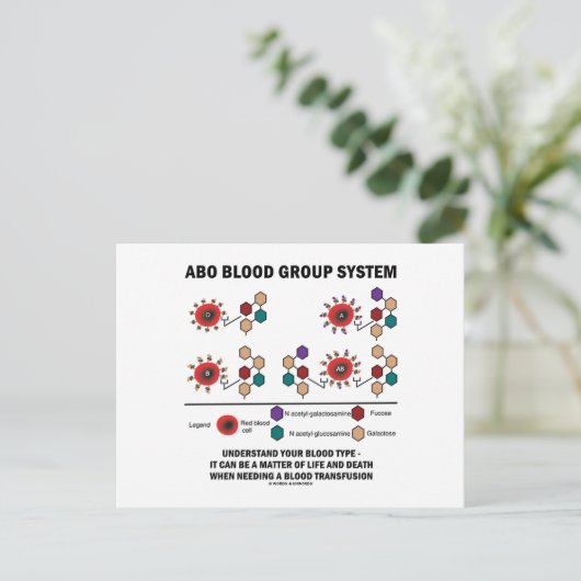 ABO血液型系が血液型を理解する ポストカード (スタンド正面)
