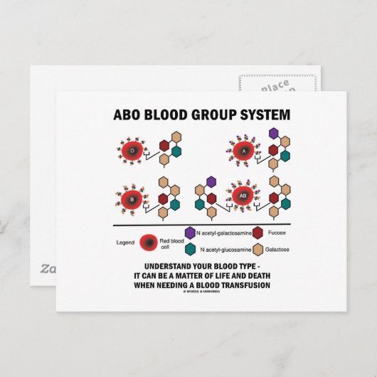 ABO血液型系が血液型を理解する ポストカード (正面/裏面)