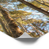  Above the Trees – Peaceful Nature Landscape ポスター (角)