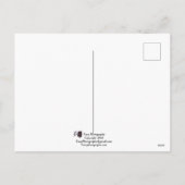 ABQ椅子 シーズンポストカード (裏面)