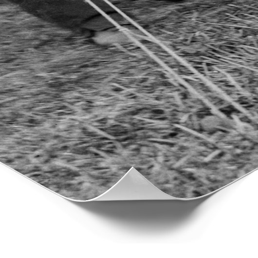 ABRAHAM LINCOLN at ANTIETAM BATTLEFIELD 1862 ポスター (角)