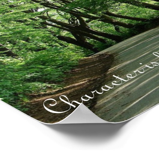 Abraham Lincoln Character Quote Poster ポスター (角)