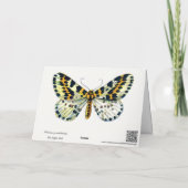 Abraxas grossulariata, The Magpie Moth Color Image カード (裏面)