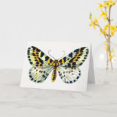 Abraxas grossulariata, The Magpie Moth Color Image カード (黄色い花)
