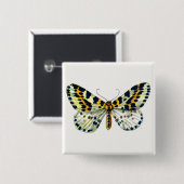 Abraxas grossulariata, The Magpie Moth Color Image 缶バッジ (正面&裏面)