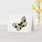 Abraxas sylvata – 白濁したマグパイ蛾 カード (黄色い花)