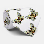 Abraxas sylvata – 白濁したマグパイ蛾 ネクタイ (ロール)