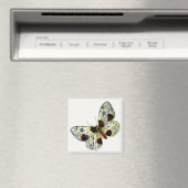 Abraxas sylvata – 白濁したマグパイ蛾 マグネット (インサイチュ (食洗機))