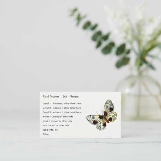 Abraxas sylvata – 白濁したマグパイ蛾 名刺 (スタンド正面)