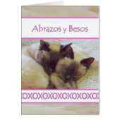 Abrazos y Besos,ハグとキススペインのの (正面)