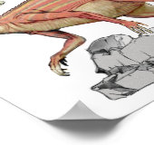 Abrictosaurus – ジュラシック恐竜ポートフォリオ ポスター (角)