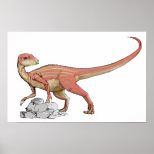 Abrictosaurus – ジュラシック恐竜ポートフォリオ ポスター