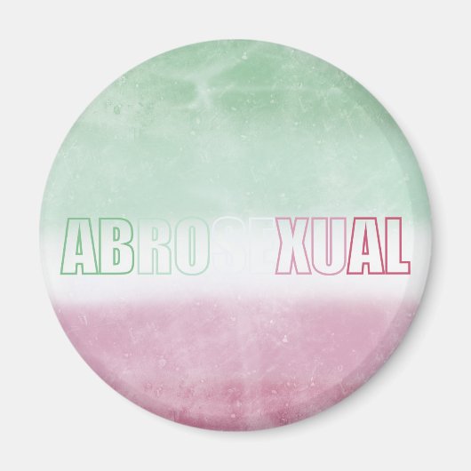 Abrosexual pride flag magnet マグネット (正面)