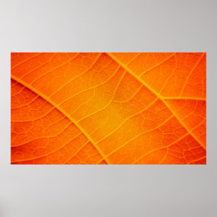 Abstract closeup of an orange and yellow leaf text ポスター