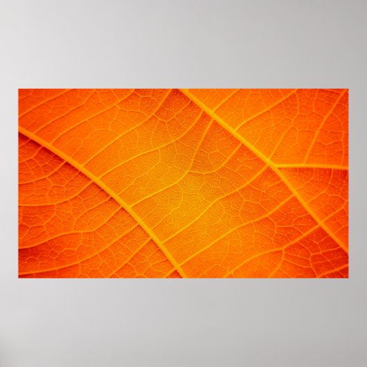 Abstract closeup of an orange and yellow leaf text ポスター (正面)