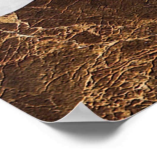 Abstract Desert Night Sky with Golden Cactus ポスター (角)