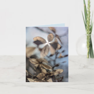 Abstract Hydrangea カード