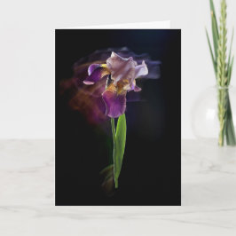Abstract Iris Flower – Elegant Floral Art カード