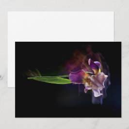 Abstract Iris Flower – Elegant Floral Art シーズンカード