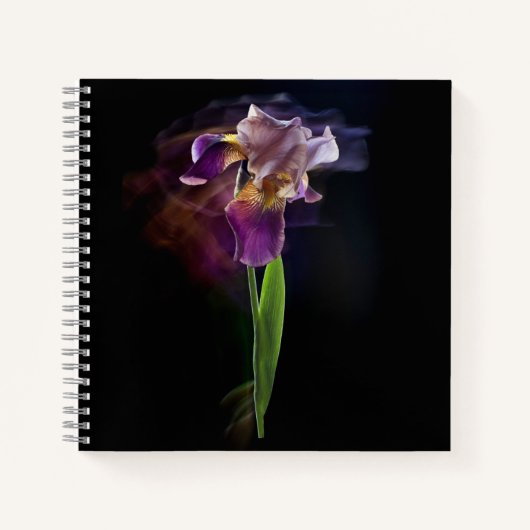 Abstract Iris Flower – Elegant Floral Art ノートブック (正面)