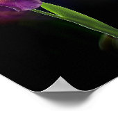 Abstract Iris Flower – Elegant Floral Art ポスター (角)